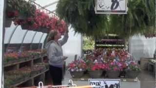 Garden Like a Pro  Outdoor Planters amp Flower Pots [upl. by Namurt]