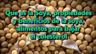 Que es la Soya y para que sirve propiedades y beneficios de la soya [upl. by Aibar]