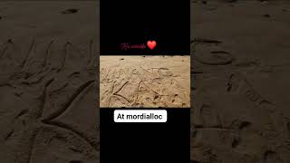 mordialloc ccto shortvideo fypspotted trendingshorts fypシ viral youtubeshort [upl. by Kcirtemed]