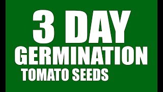 Tomato Seeds 3 Day Germination GrowLikeAPro [upl. by Auqinaj]