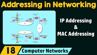 Addressing in Networking [upl. by Nauhs]