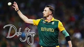 Dale Steyn  ft Wahran Tribute To A Legend  Best Bowler  Gun  Dalesteyn Cricket protea [upl. by Seward170]