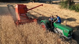 Harvesting with Deutz amp Fahr [upl. by Akirahs]