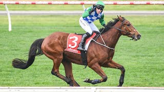 Warrnambool Racing Preview Day 1 Brierly Steeplechase Day 300424  Sky High Horse Racing [upl. by Annol]