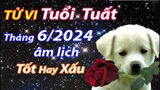 Tử vi tuổi Tuất Tháng 62024 âm lịch tốt hay xấu [upl. by Krakow]