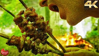 THIS IS SO BEAUTIFUL  Yakitori Chicken 4K [upl. by Ecirtemed]