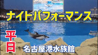 【イルカ】ナイトパフォーマンス 名古屋港水族館 [upl. by Aihsei696]