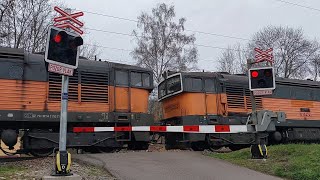 Železniční přejezd AŽD 97 ChoceňPeliny  2132024  Czech Railroad Crossing [upl. by Anialad]