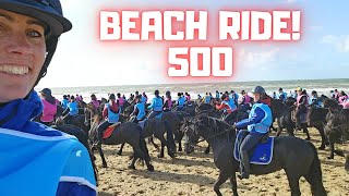 Friesian horses beach ride with 500 Friesian horses  Friesian Horses [upl. by Parnell729]