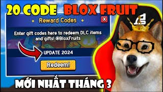 Tổng Hợp 20 Mã CODE X2 Kinh Nghiệm Và Reset Chỉ Số STATS Mới Nhất Tháng 3 Trong Blox Fruit  Roblox [upl. by Seftton654]