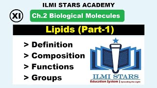 Lipids class 11 biology chapter 2 biological molecules  federal board and KPK Board [upl. by Ackerman]