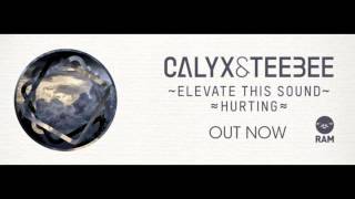 Calyx amp TeeBee  Elevate This Sound Original Mix Amazing Quality [upl. by Jago]