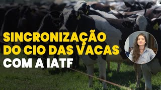 COMO USAR A TÉCNICA DE INSEMINAÇÃO ARTIFICIAL EM TEMPO FIXO IATF EM BOVINOS [upl. by Ial]