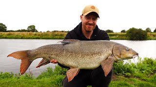 BARBEL FISHING  16lb BARBEL on the RIVER Trent  NEW PB [upl. by Asilak949]