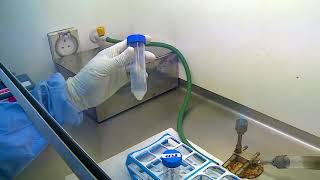 10 Demonstration of processing of sputum specimen for culture for diagnosis of tuberculosis [upl. by Llerryt]