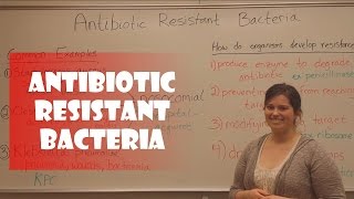 Antibiotic Resistant Bacteria [upl. by Laurella]