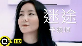 辛曉琪 Winnie Hsin【迷途】Official Music Video [upl. by Avictor]