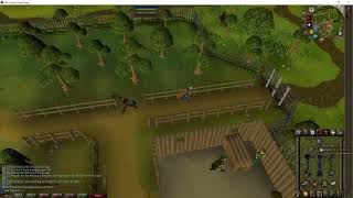 Old School Runescape  How to Teleport to Woodcutting Guild [upl. by Aratak]