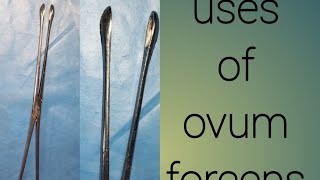 uses of ovem forceps how work of ovum forceps ovum forceps [upl. by Locklin]