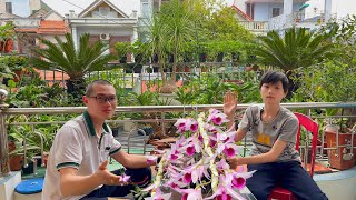 Chăm sóc mầm gốc sớm ra rễ và thân cho chất lượng hoa đẹp nhất orchid garden [upl. by Esiocnarf]