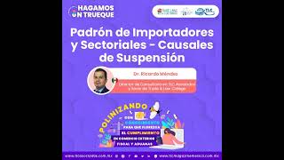 Episodio 346 Padrón de Importadores y Sectoriales – Causales de Suspensión [upl. by Tammany]