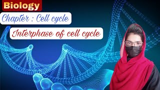 cell cycle  interphase  Lecture 1 [upl. by Capp]