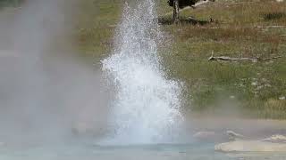 Imperial Geyser Spray Geyser Fairy Falls [upl. by Lennahc443]