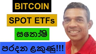 BTC SPOT ETFs ARE ABOUT TO BEAT SATOSHI NAKAMOTO  CRYPTO BULL RUN 2024 [upl. by Yrrek]