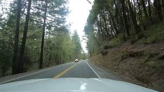 Driving from Laytonville to Willits California [upl. by Chrisse]