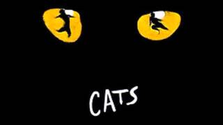 cats musical jellicle songs fur jellicle katz  live in hamburg [upl. by Sands824]