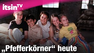 Interview mit dem 3 von die Pfefferkörner [upl. by Kean905]