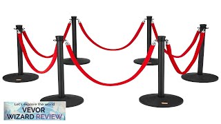 VEVOR Stanchion Posts with Velvet Ropes 6Pack Crowd Control Stanchion with 6PCS Review [upl. by Aninaig]