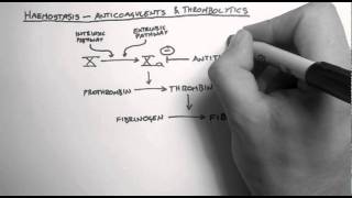 Haemostasis 3  Anticoagulants amp Thrombolytics [upl. by Ennagrom38]