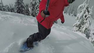 Lib Technologies Travis Rice Orca Snowboard Review [upl. by Najed]