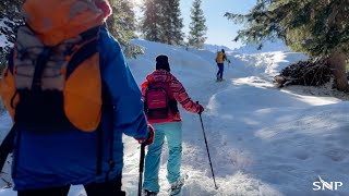 Wintervakantie vanuit hotel Jägerhof  SNP Natuurreizen [upl. by Halla368]