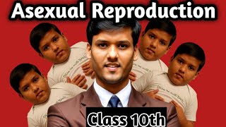 asexual reproduction class 10th  How do organisms reproduce class 10th science [upl. by Ehman]