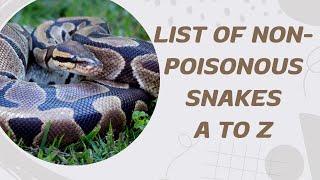 List Of Non Poisonous Snakes A To Z [upl. by Norty]