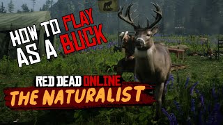 Red Dead Online How To Play As A Buck Vitalism Studies With Plant and Transform Location RDR2 [upl. by Ladin317]