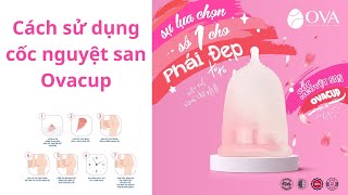 Cách Sử Dụng Cốc Nguyệt San Ovacup  Chanh Leo Review [upl. by Eitra]