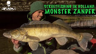 MONSTER ZANDER in streetfishing  Adventures in Netherland [upl. by Hogen]