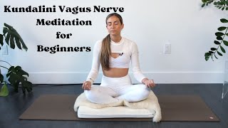 11 Minute Vagus Nerve Meditation  This will instantly calm you [upl. by Vicki]