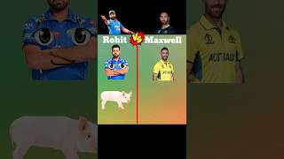 Rohit vs Maxwell facts comparison rohit maxwell trendingshorts viralshorts youtubeshorts [upl. by Kristofer638]