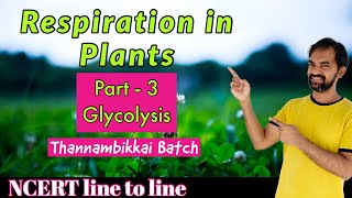 Respiration in Plants class 11  Part 1 [upl. by Ladiv]