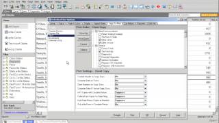 Lacerte Professional Tax Software Program Options and Settings [upl. by Linda]