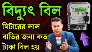 বিদ্যুৎ মিটারের লাল বাতির জন্য কত টাকা বিল আসে  Electric meter red light  electricbill [upl. by Kcered]