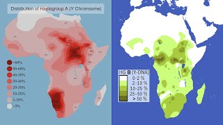 Ham Haplogroup A amp B [upl. by Lauber]