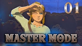 Into the Wild  BotW Master Mode Ep 1 [upl. by Penrose]