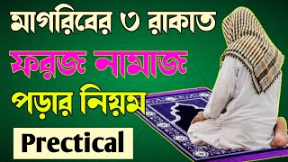 মাগরিবের ৩ রাকাত ফরজ নামাজ পড়ার নিয়ম 🔥Magrib ki namaz 🔥 Magriber namaz porar niom [upl. by Nidnal]