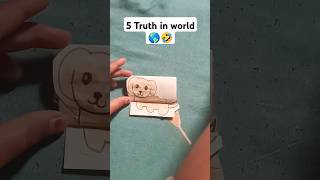 5 Truth in the world 🌎😂🤣 comedy funny fun marathi priyalkukreja ytshorts freepalestine 🤣🌎🤯💙 [upl. by Eenot]