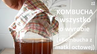 Kombucha  jak zrobić odc poprawiony Wszystko o produkcji kombuchy Kombucha z matki octowej [upl. by Annoirb]